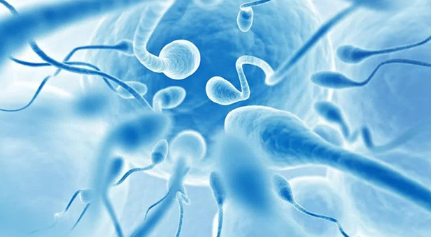 老公必讀:想要小精子游得快你得這樣做!-寶寶俱樂部