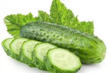 產后減肥食物推薦-寶寶俱樂部