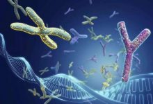 可怕的母體遺傳 這些女性不要生男孩-寶寶俱樂部